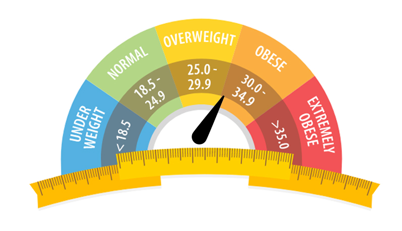 Know Your Weight BMI calculator 
